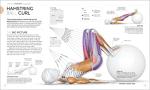 Transform Your Body: Science of Strength Training