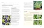 Grow Your Own Veg: A Year of Home Gardening