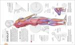 Transform Your Body: Science of Strength Training
