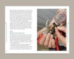 Do Maintain: Sharpen Knives, Scissors, and Tools