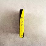 Girl A: A Gripping New Crime Thriller