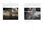 Creative Life: Embracing Your Artistic Journey