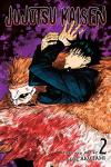 Jujutsu Kaisen, Vol. 2: Action-Packed Adventure