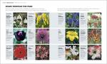 Gardening Through the Year: Monthly Planning Guide