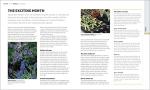 Gardening Through the Year: Monthly Planning Guide