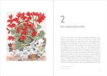 Garden Flowers: A Beautifully Illustrated Guide