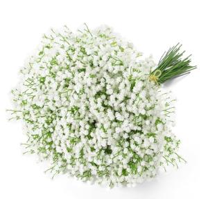6 Pcs Real Touch Baby Breath Flower Bouquets