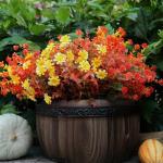6 Bundles of Autumn Flowers for Home Decor