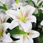 60CM Long Artificial Tiger Lily Flowers - 4PCS