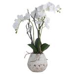 White Orchid in Stone Pot by Recipe