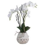 White Orchid in Stone Pot by Recipe