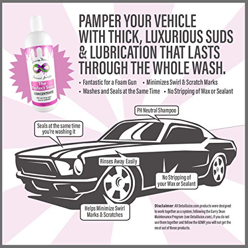 Garry Dean's Infinite The Perfect Soap Automotive Detailing Supplies PH Neutral Shampoo (16oz)