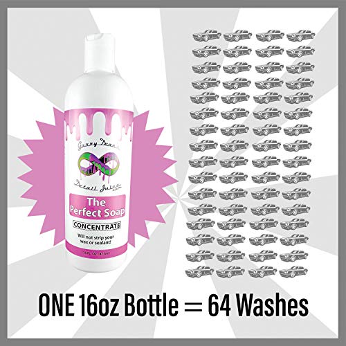 Garry Dean's Infinite The Perfect Soap Automotive Detailing Supplies PH Neutral Shampoo (16oz)