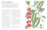 World Atlas of Coffee: From Beans to Brewing