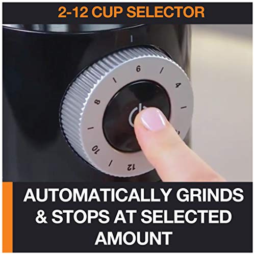 KRUPS Precision Burr Coffee Grinder with 12 Settings