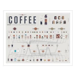 Coffee Drink Infographic Art Poster - 20" x 16