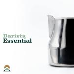 Evergreen 16oz Stainless Steel Latte Art Pitcher