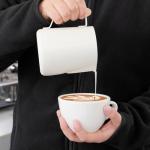 Stainless Steel Milk Frothing Pitcher 12oz