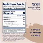 Jordan's Skinny Sugar Free Mocha Coffee Syrup