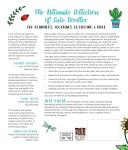 Learn to Draw: 400+ Fun Coffee Designs