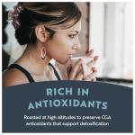 Clean Coffee Co. Low Acid Papua New Guinea Roast