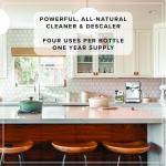 Breville Espresso Machine Descaler - 16 oz Supply