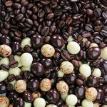 Dilettante Espresso Blend Coffee Beans, 5 Pound