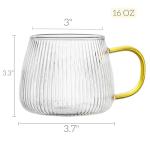 AVLA 6 Pack 16 OZ Clear Coffee Mugs