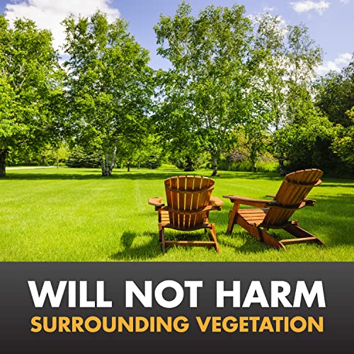 Spectracide HG-66420 Stump Remover, Case Pack of 1