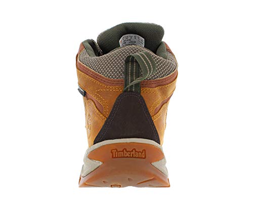 Timberland Men's Mt. Maddsen Hiker Boot