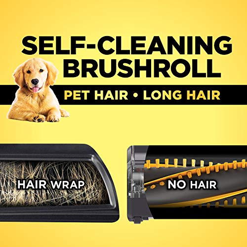 Shark APEX DuoClean with Zero-M No Hair Wrap (ZS362) Stick Vacuum, Forest Mist Blue