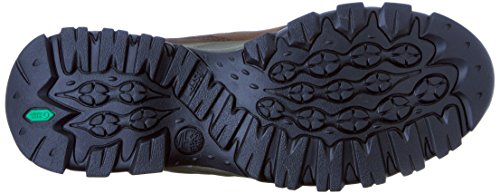 Timberland Men's Mt. Maddsen Hiking Ankle Boot