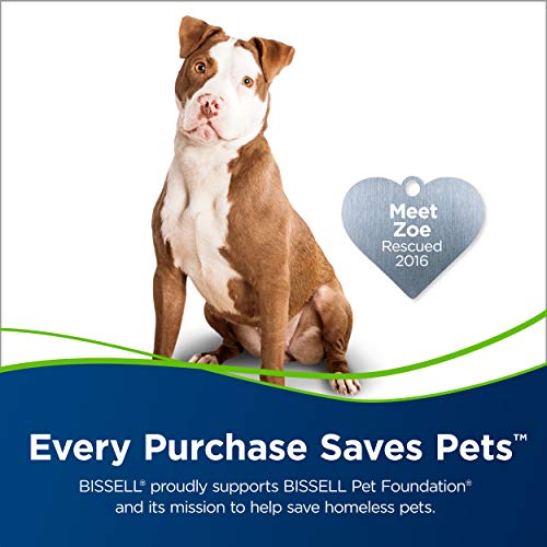 BISSELL Cleanview Swivel Pet Upright Bagless Vacuum Cleaner, Green, 2252