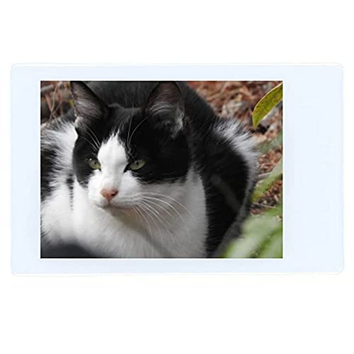 Fujifilm Instax Mini Instant Film, 10 Sheets?5 Pack(Total 50 Shoots)