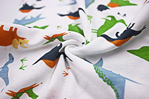 ZEBZOO Pajamas for Boys Little Kid Jammies Briefs Set 5-Piece Sleepwear 100% Cotton Underwear Children Tops Pants Size 12 Dinosaur