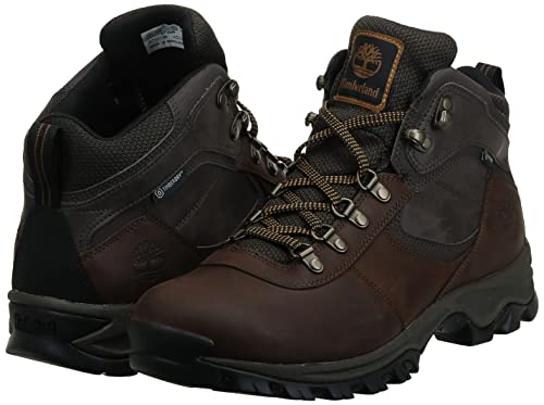 Timberland Men's Waterproof Leather Hiking Boot, Brown, 7.5