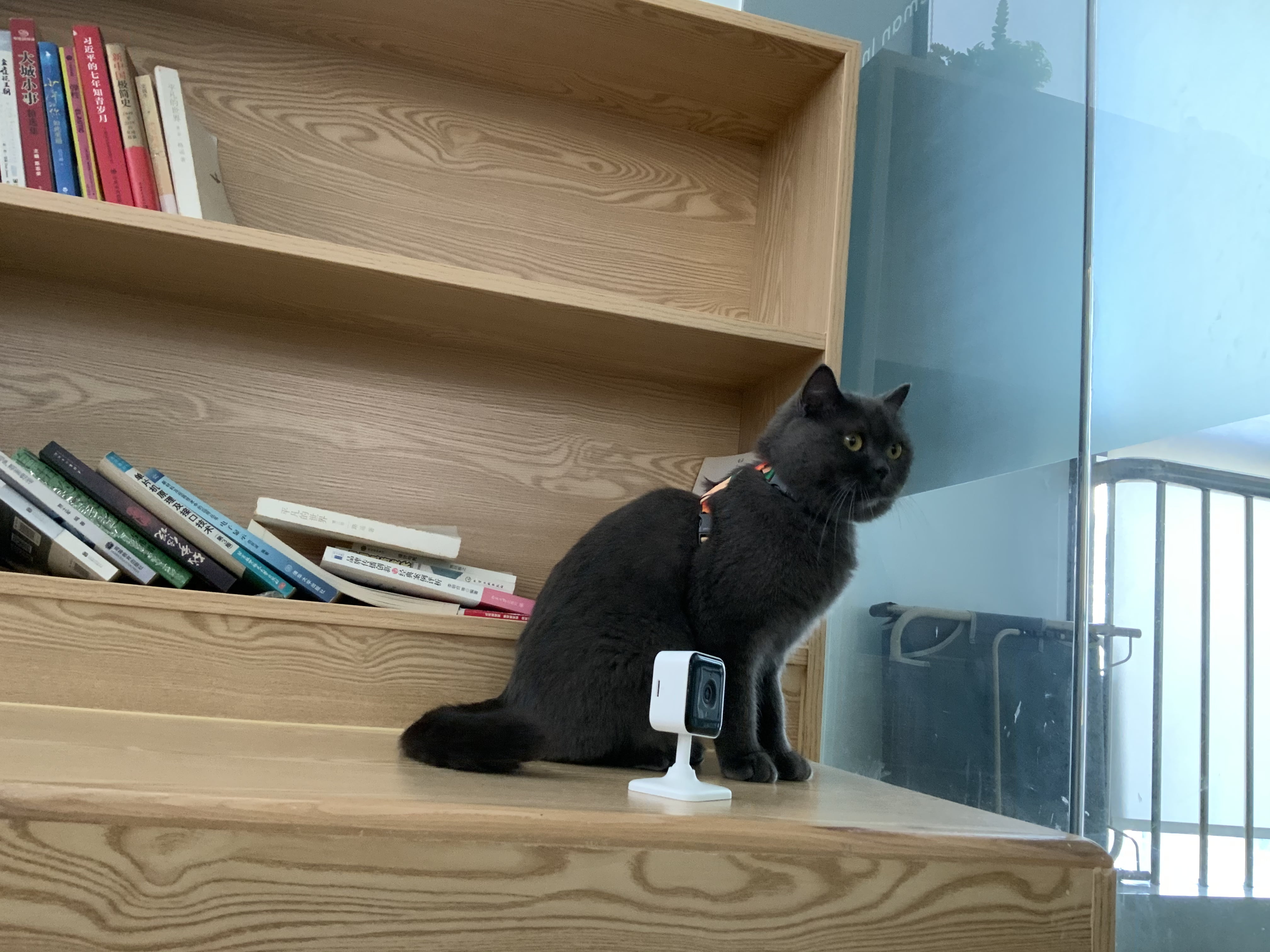 Teckin Indoor Wi-Fi Security Camera, 2 Pack