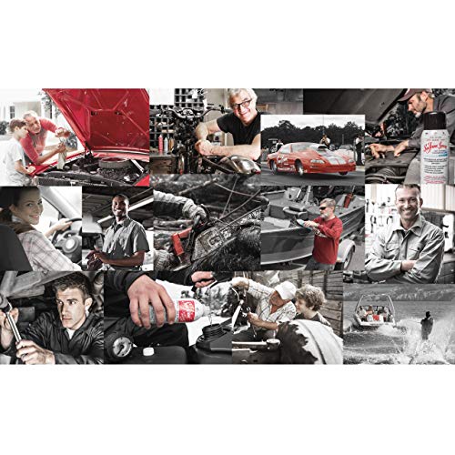 Sea Foam Truck & SUV Motor Treatment ST20, 20 oz