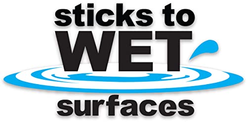 Sashco Gallon Clear Roof Sealant