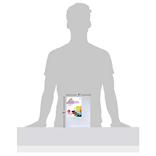 PHOENIX Pre Stretched Canvas for Painting - 8x10 Inch / 10 Pack - 5/8 Inch Profile of Super Value Pack for Oil & Acrylic Paint