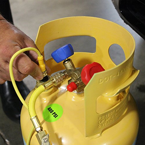 Mastercool 69110 Automotive A/C Recovery System,Blue