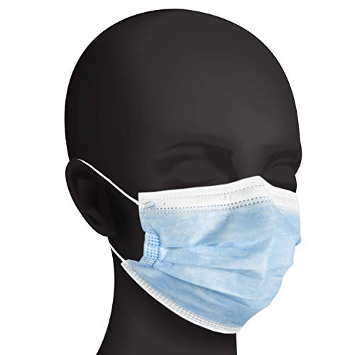 Face Mask, Case of 500