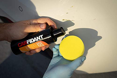 Carfidant Scratch and Swirl Remover - Ultimate Car Scratch Remover - Polish & Paint Restorer - Easily Repair Paint Scratches, Scratches, Water Spots!