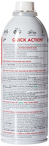 Sea Foam SF-16-24PK Motor Treatment - 16 oz., (Pack of 24)