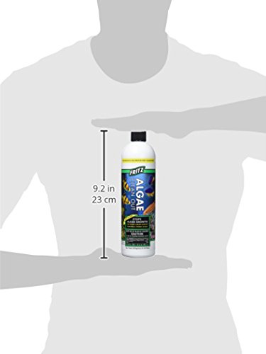 Fritz Aquatics 16-Oz Algae Clean Out Solution