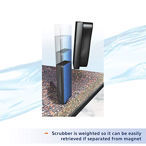 Aqueon Small Magnet for Easy Algae Cleaning