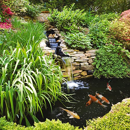 Tetra Pond AlgaeControl for Clear, Clean Water