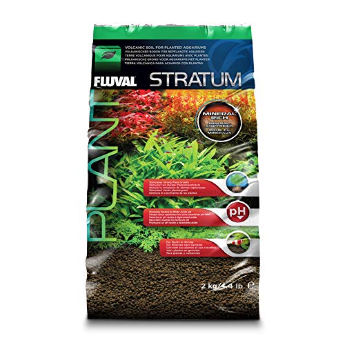 Vulkanic Aquatic Soil for Plant Growth