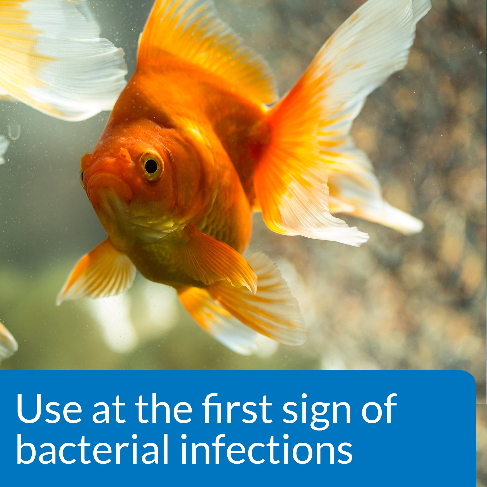 API Fin & Body Cure for Freshwater Fish