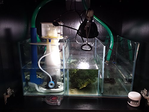 66 Gallon Rimless Starfire Aquarium with Overflow